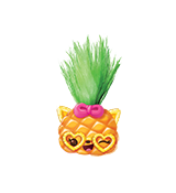 Party Piña