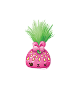 Sweet Seeds